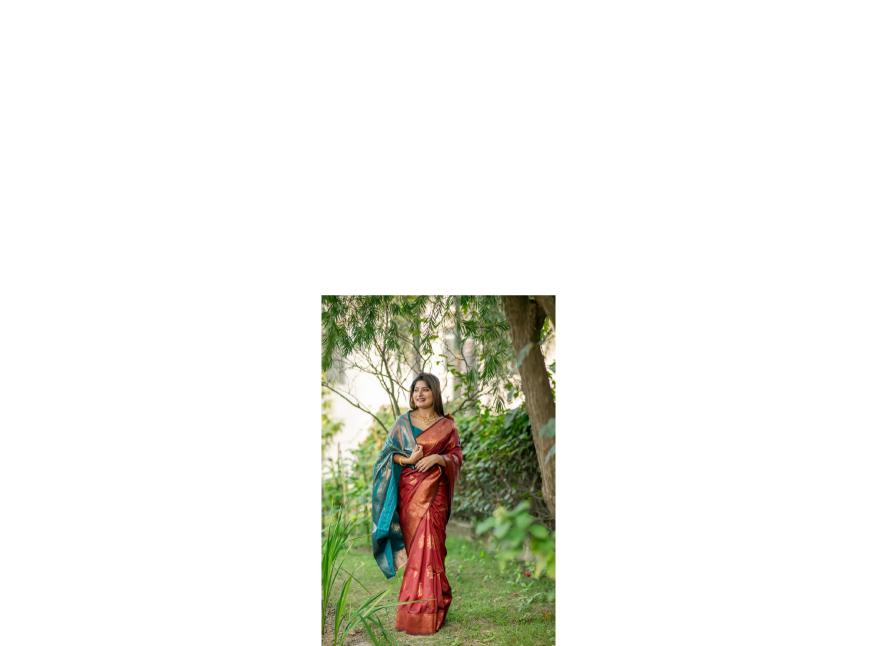 Dazira Premium Soft Banarasi Katan Silk catalog sarees of southern india