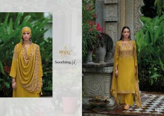 Rang Fashion Nishq Vol 2 Bulk Salwar Kameez Suppliers in Surat