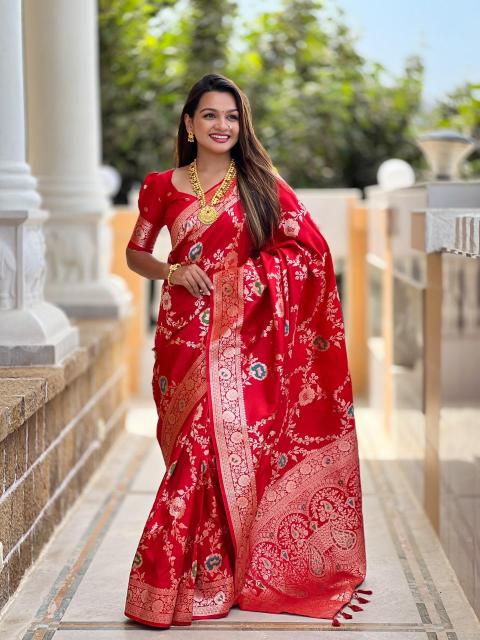 Banarasi-1 soft banarasi silk Wholesale Saree delaer in india