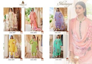 Cinderella shanaya dress materials in Kolkata