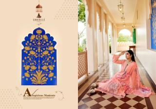 Cinderella shanaya dress materials in Kolkata