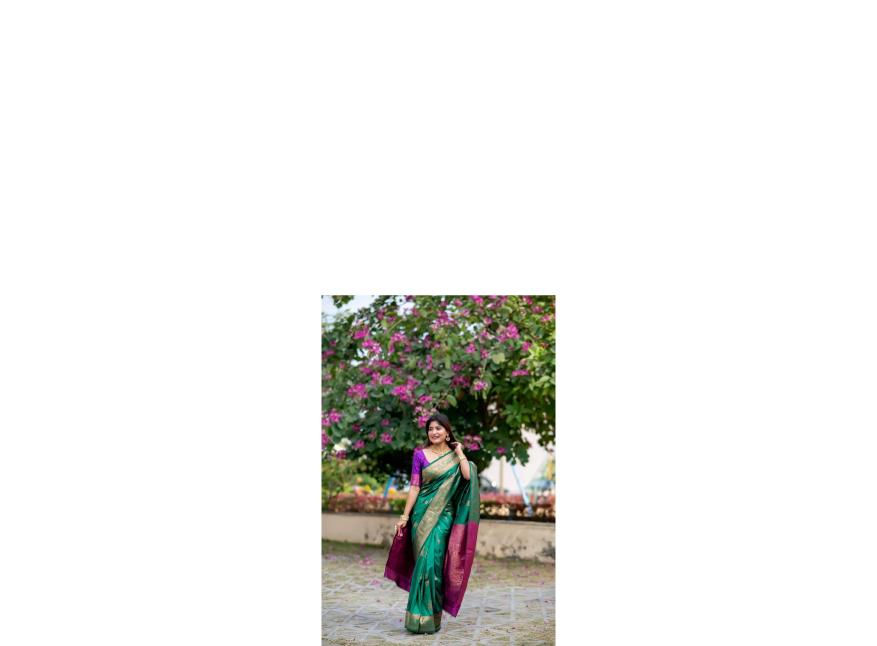 Dazira Premium Soft Banarasi Katan Silk catalog sarees of southern india