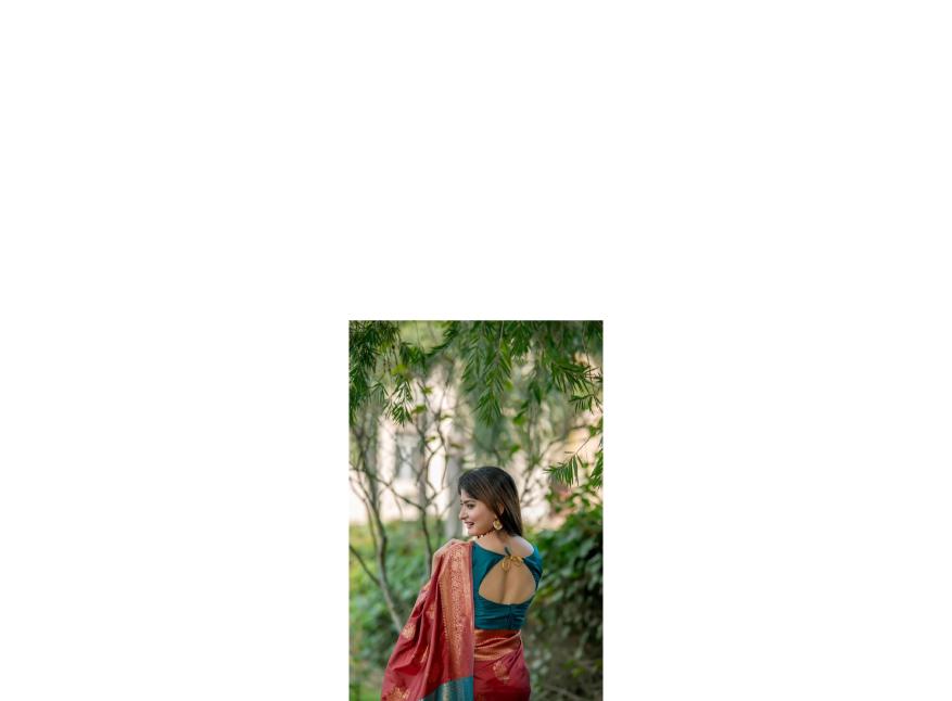 Dazira Premium Soft Banarasi Katan Silk catalog sarees of southern india