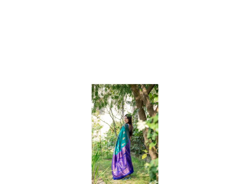 Dazira Premium Soft Banarasi Katan Silk catalog sarees of southern india