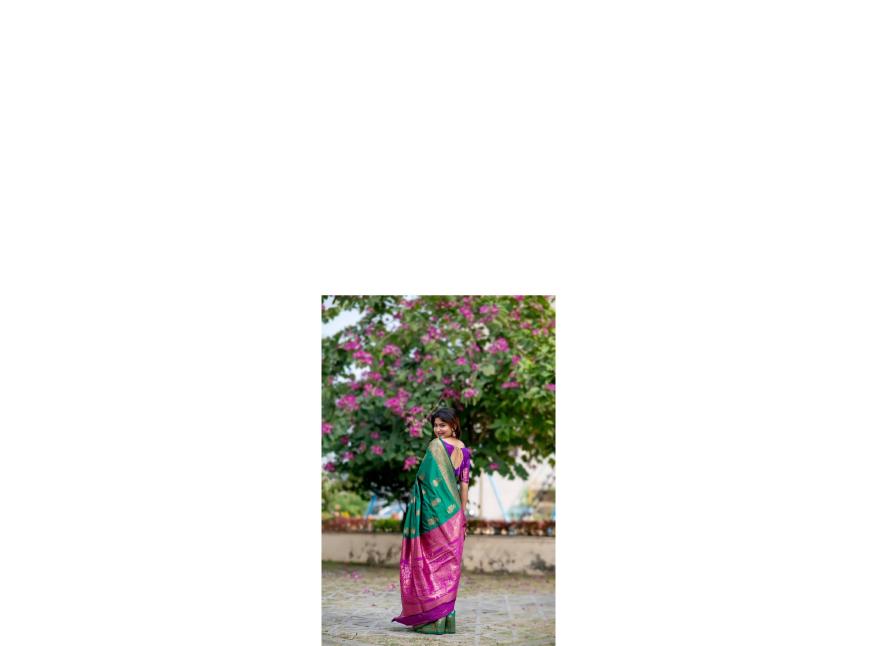 Dazira Premium Soft Banarasi Katan Silk catalog sarees of southern india