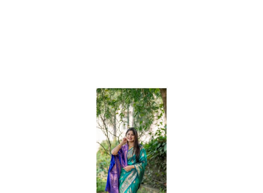 Dazira Premium Soft Banarasi Katan Silk catalog sarees of southern india