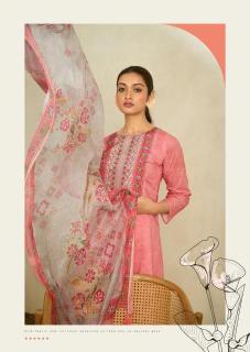 Sadhana fashion raabta Dress materials wholesale price in surat