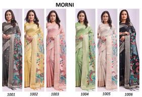 ASTITA MORNI Wholesale Saree Suppliers
