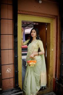 Mohini-vol-19 cotton with zari Designer sarees in Ahmedabad