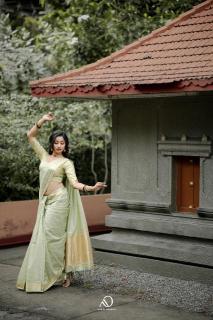 Mohini-vol-19 cotton with zari Designer sarees in Ahmedabad