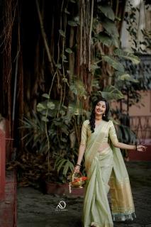 Mohini-vol-19 cotton with zari Designer sarees in Ahmedabad