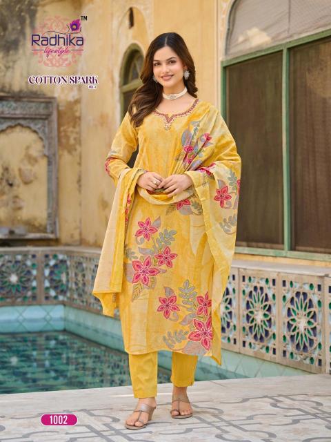 Radhika lifestyle cotton apark vol 1 Ladies kurtis in Ahmedabad