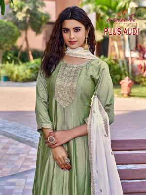 Aanchi plus audi Wholesale kurtis for reselling in India