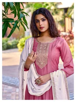 Aanchi plus audi Wholesale kurtis for reselling in India