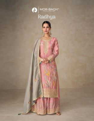 Aashirwad creation radhya Salwar Kameez wholesalers in Ahmedabad