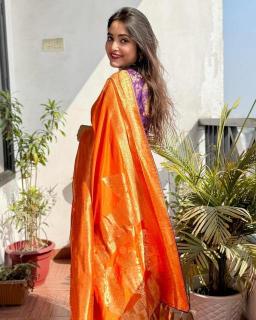 Akshara banarasi dola silk Saree wholesalers in Mumbai