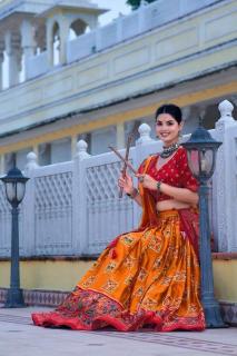 Mor Tussar Silk lehenga wholesale market in ludhiana