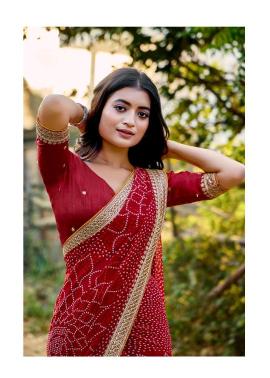 Shorya mono georgette with lace work Wholesale saree manufacturers