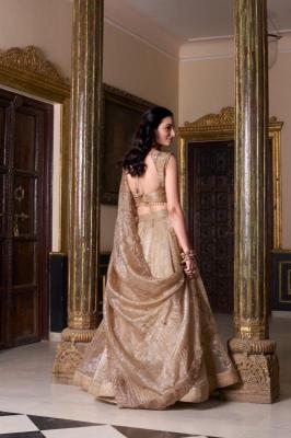 Wedding Collection Gold Crush Customized lehenga choli manufacturers