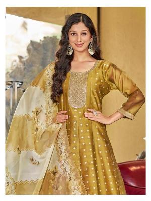 Aanchi mahi Kurti Supplier in India