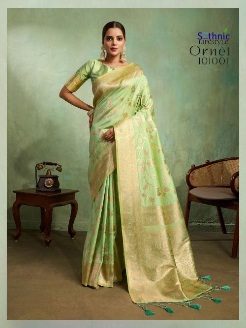 Sethnic Ornet Bulk saree purchase