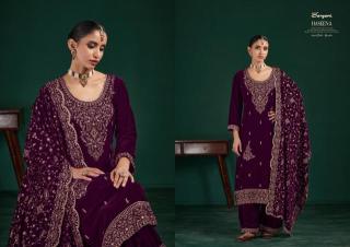 Sargam haseena dress wholesale supplier market India 