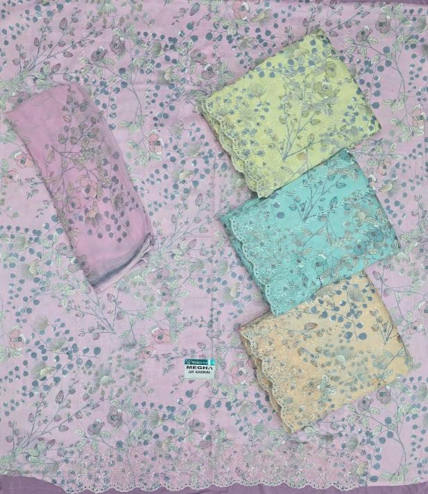 Sargam megha Surat dress material wholesale in Delhi