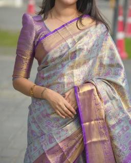 Malhar virasat Wholesale saree market in India