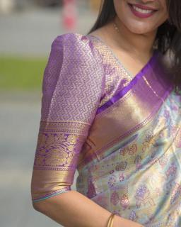 Malhar virasat Wholesale saree market in India