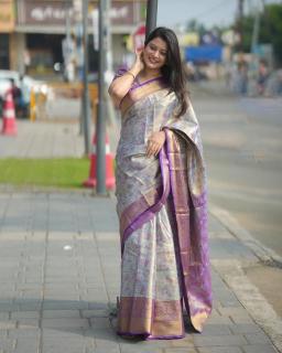 Malhar virasat Wholesale saree market in India