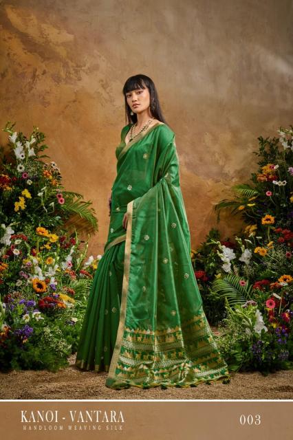 Rajtex Kanoi Vantara Wholesale sarees online shopping