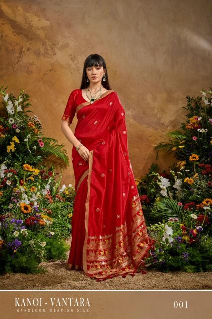 Rajtex Kanoi Vantara Wholesale sarees online shopping