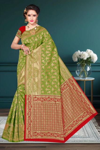 Ronisha d.no 53 Surat sarees wholesale market