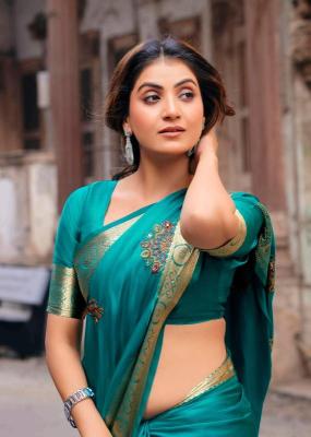 Lt fashion primark vol 33 Saree market in India