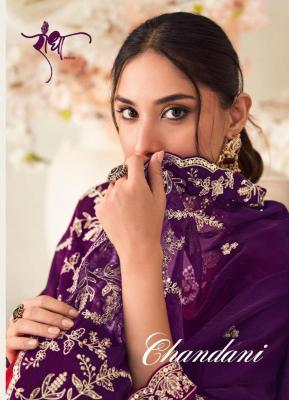 Radha trendz chanadi Wholesale Salwar Kameez suppliers in Mumbai
