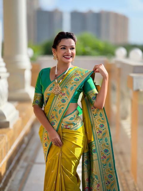 Anupama royal paithani vol -2 saree suppliers in Gujarat