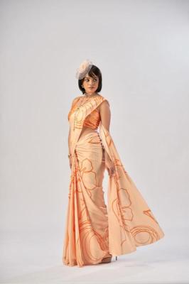 Divastri LNB Wholesale saree suppliers in Delhi
