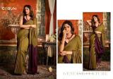 Gobuni swati cotton Saree wholesale prices in Delhi