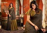 Gobuni swati cotton Saree wholesale prices in Delhi