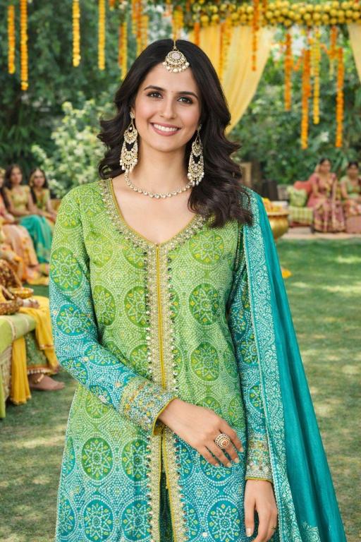 Mrudangi Adaa Designer salwar kameez wholesale market in Delhi