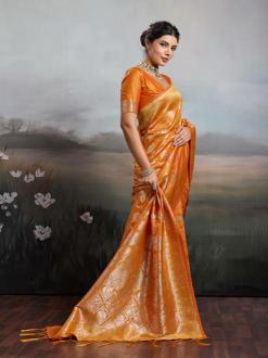 SHREE SHYAM FASHION RAJWADA SILK VOL 2 Bhavnagar saree market