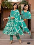 Desi kudi zeel vol 5 Ladies kurti wholesalers in Pune
