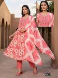 Desi kudi zeel vol 5 Ladies kurti wholesalers in Pune