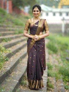 Malhar banarasi soft silk Wholesale saree dealers in Mumbai
