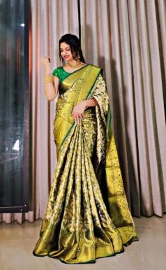 Malhar sravanti-vol-19 Surat saree manufacturers