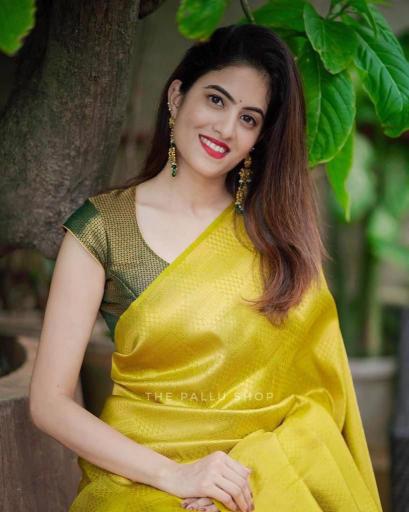 Soft Silk 4099 Indian sarees wholesale