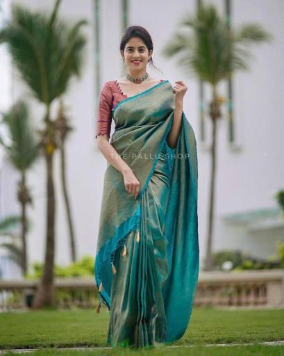 Soft Silk 4099 Indian sarees wholesale