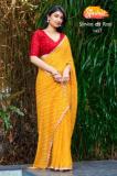 Stavan ki rani Best wholesale saree market in Kolkata