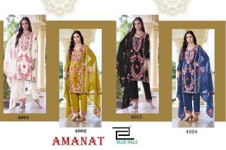 Blue hills amanat Kurti wholesale market in Kerala