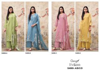 Ganga evikaa 4869 Dress material wholesalers in Chhattisgarh
